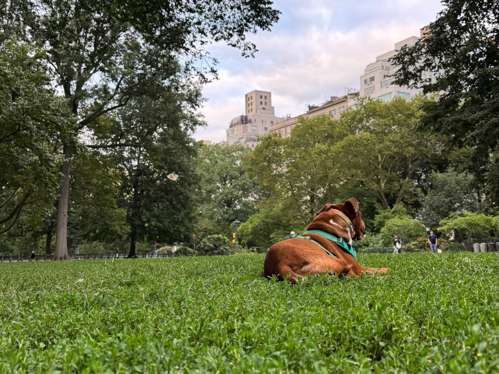 12 Owl Calls at Midnight When It Is Time to Go&nbsp;Home